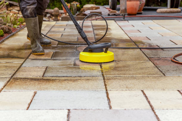 Best Animal Enclosure Cleaning  in Tomball, TX